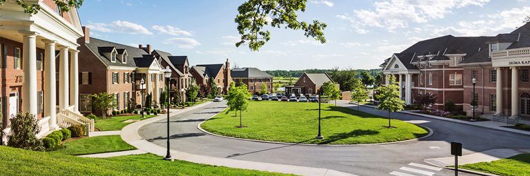 UTK Panhellenic banner