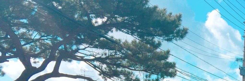 VDKLS's profile banner image