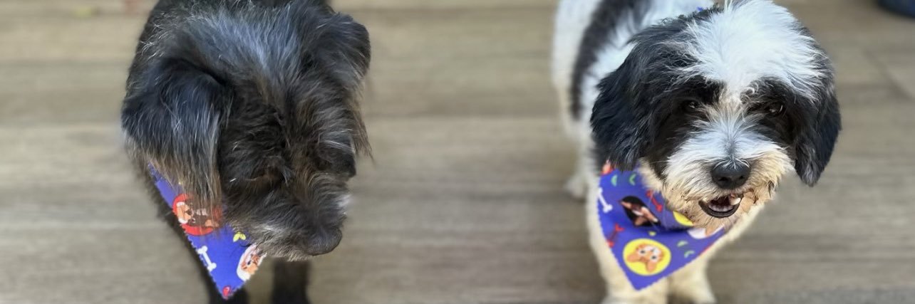 Lordboner69's profile banner image