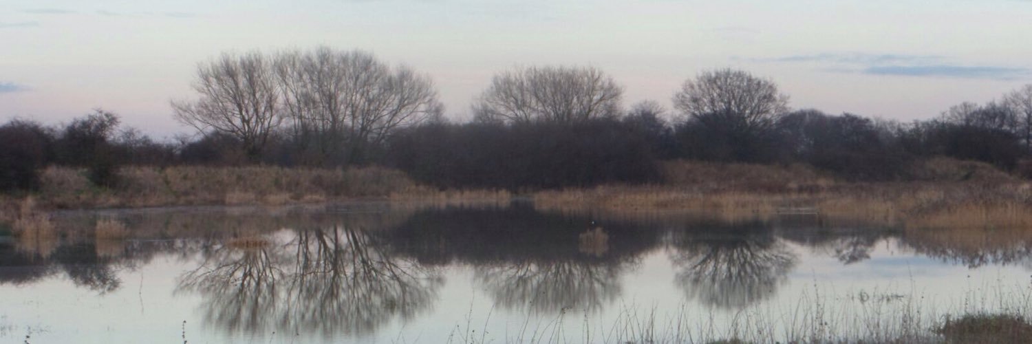 Debbie Cavers banner