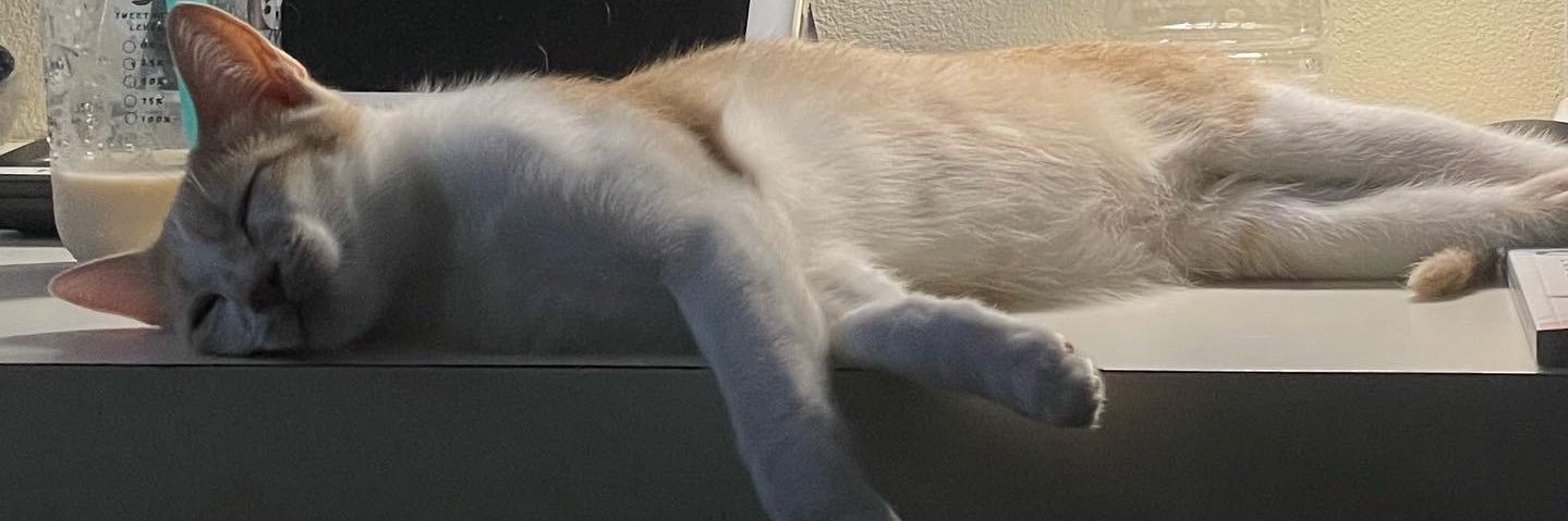 Aom_BTW's profile banner image