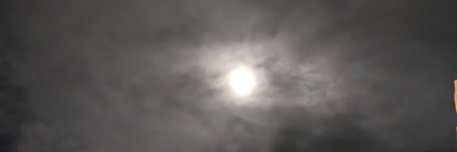 high_format_81's profile banner image