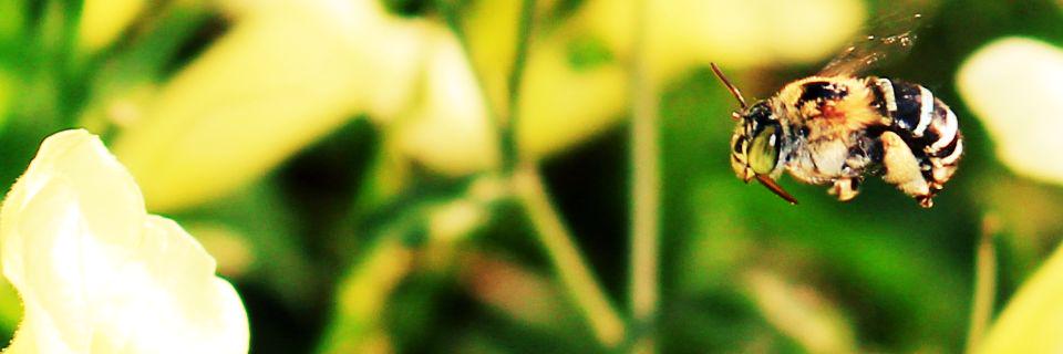 __zkimi's profile banner image