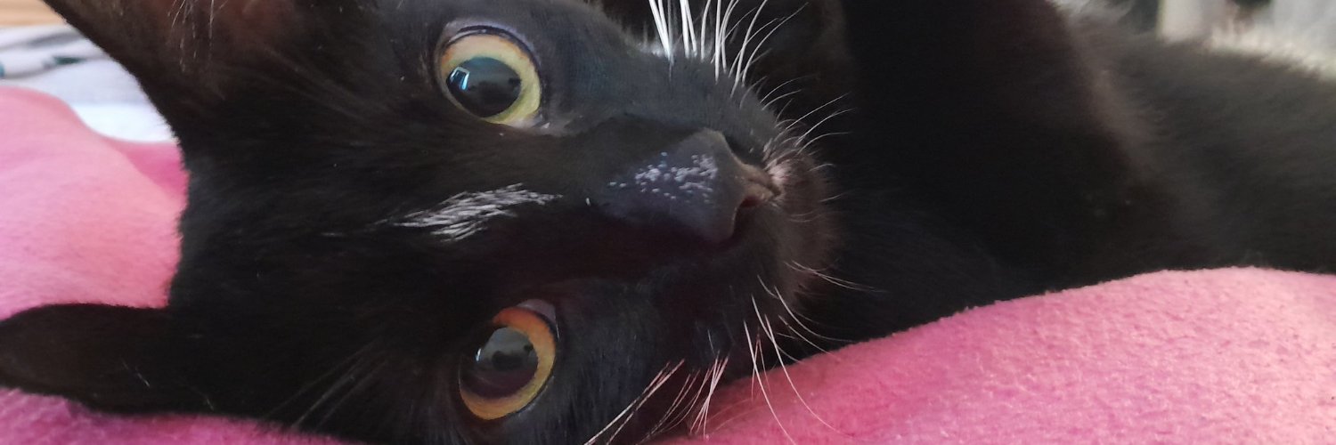 toby4484's profile banner image
