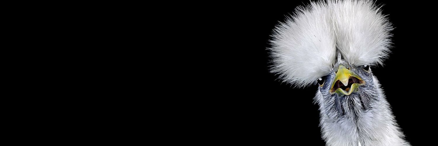 HassellRJ's profile banner image