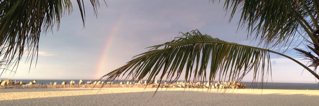 Starfish106's profile banner image