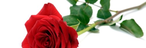 arnoschuit's profile banner image