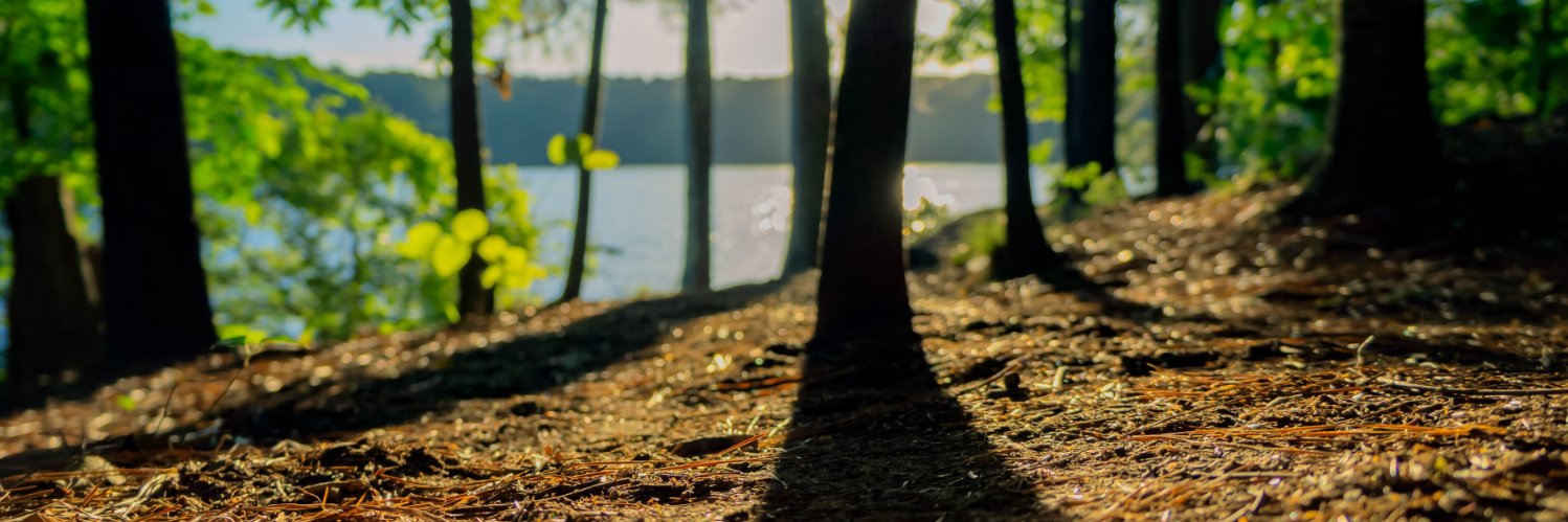 agustinb4's profile banner image