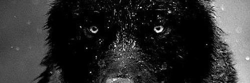 re15ef's profile banner image
