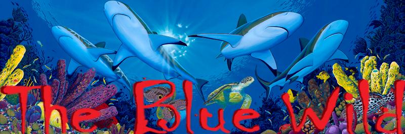 TheBlueWildExpo's profile banner image