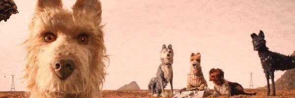 Caifana_'s profile banner image