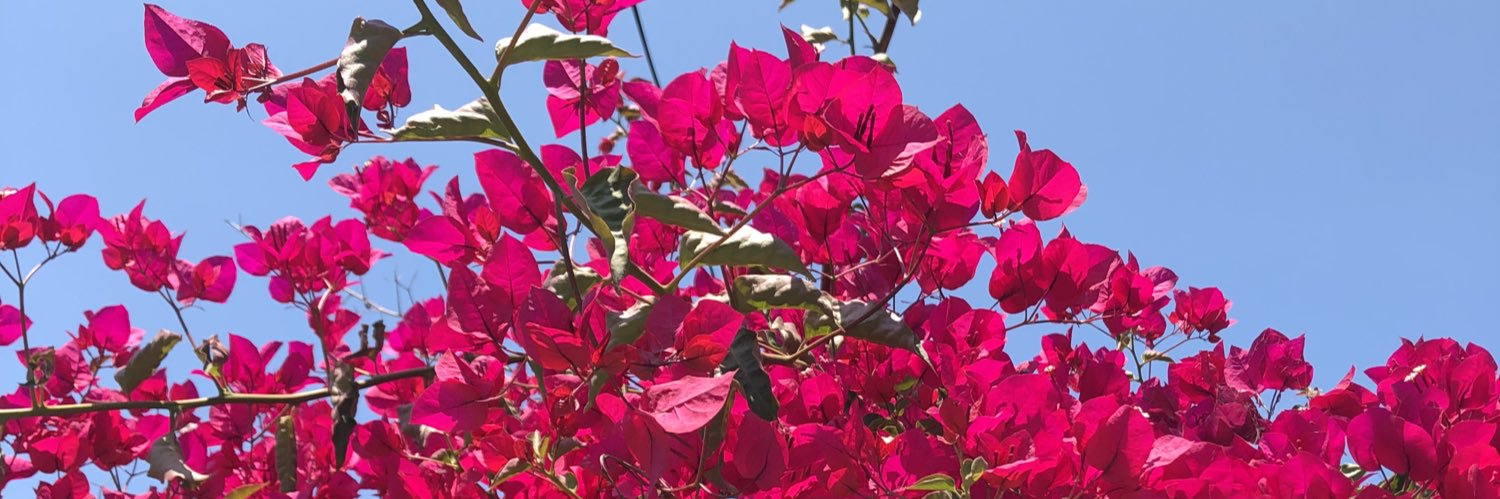 QueenBeph's profile banner image