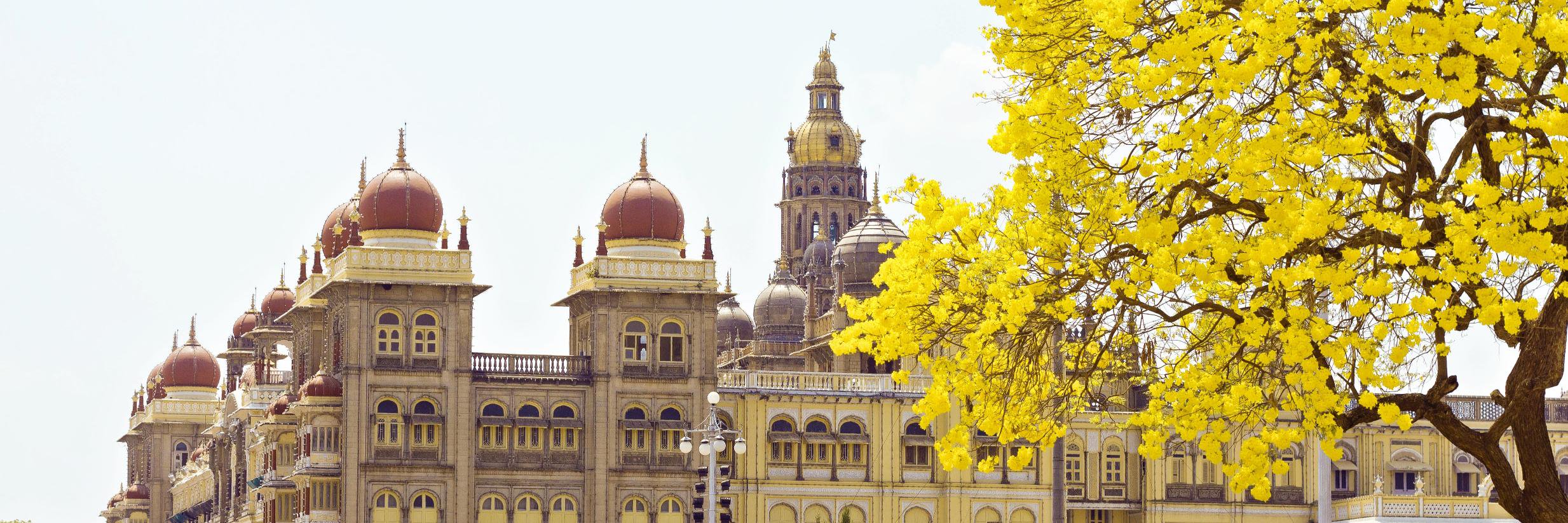 Mysuru Memes's banner
