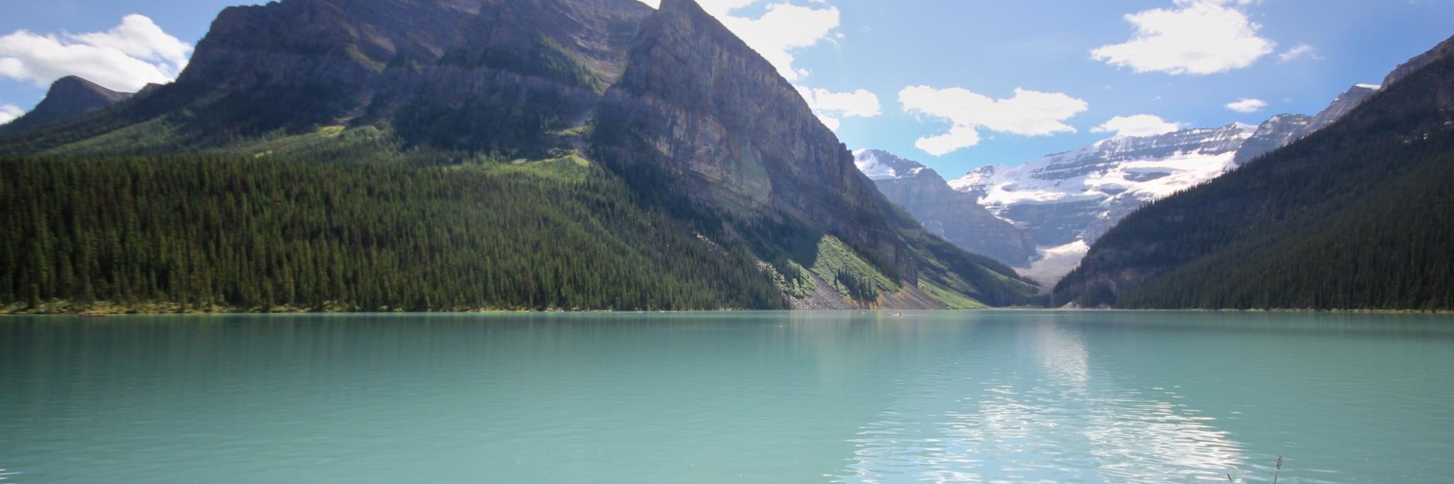 Mark Litwintschik banner