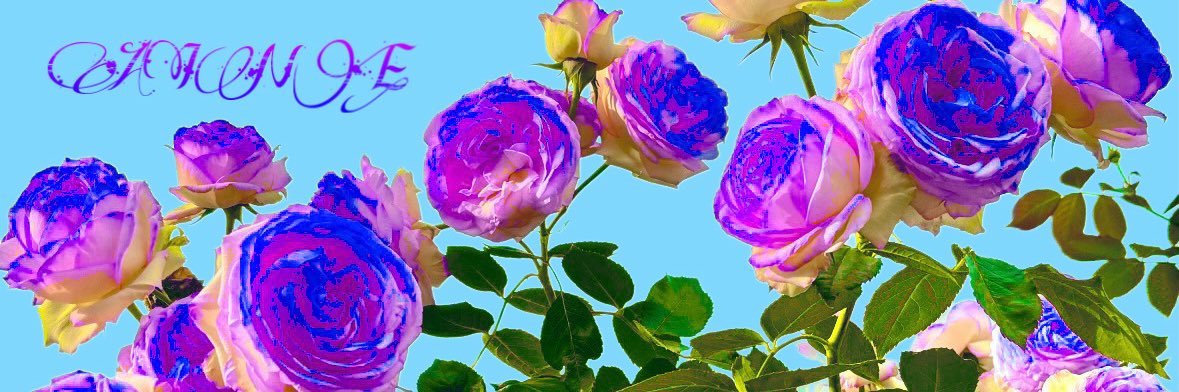 7_aine's profile banner image
