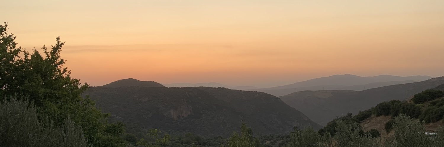 aleynatsf's profile banner image