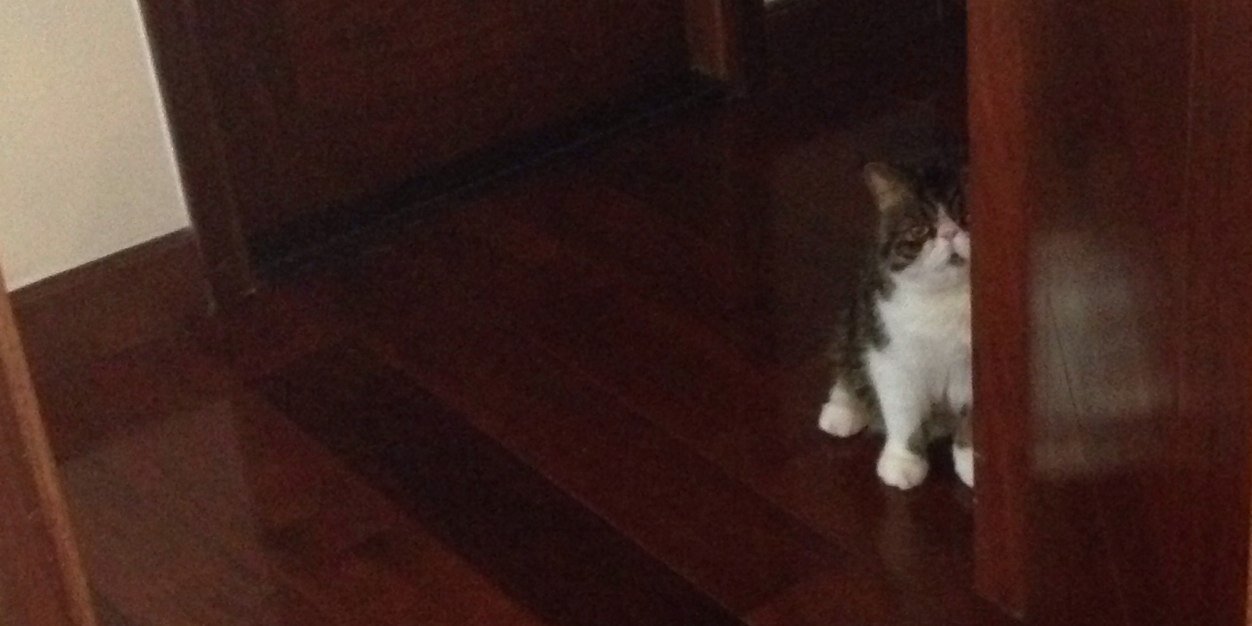 May Elizabeth banner