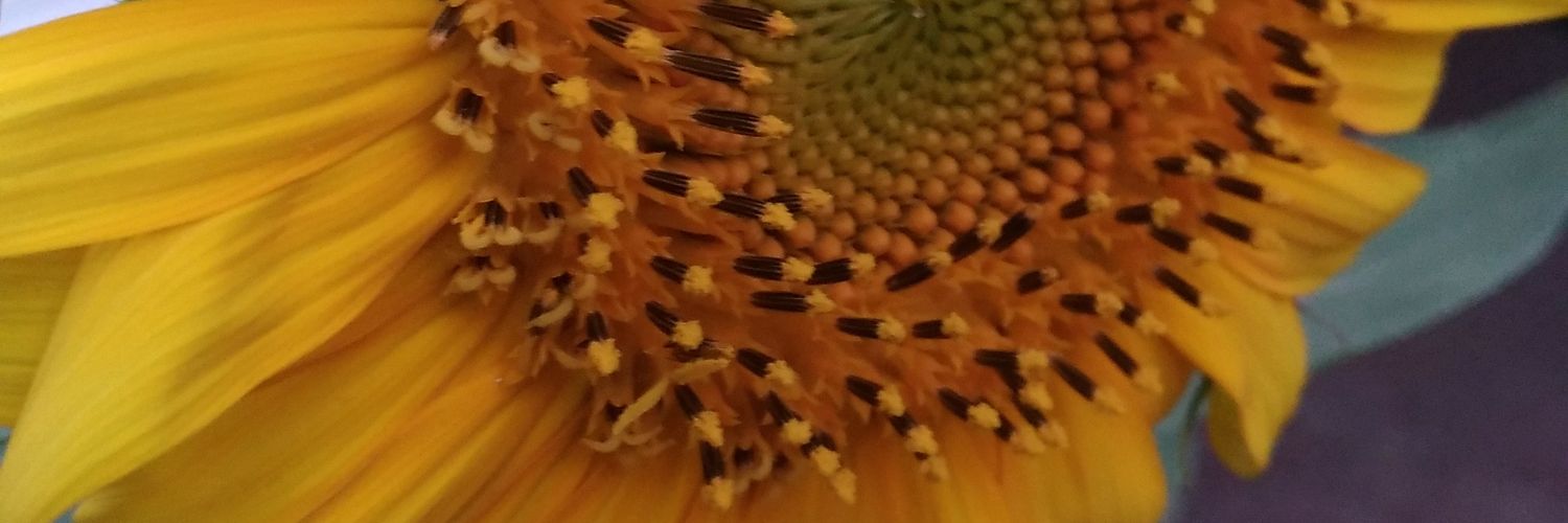 mohsen7722's profile banner image