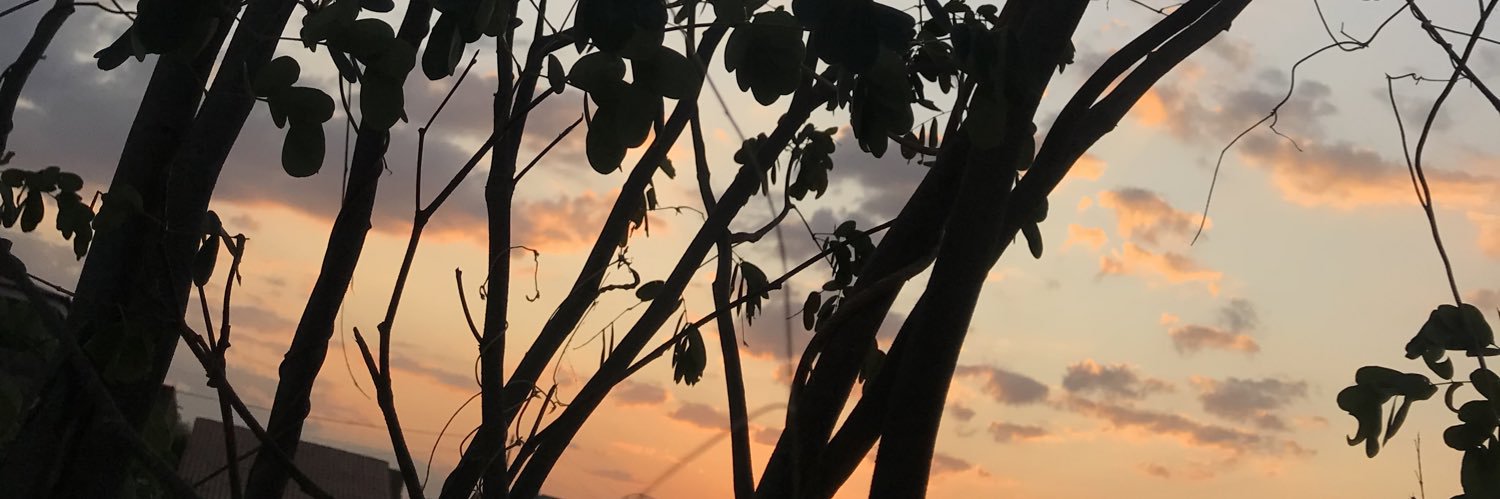 con_oliveiraa's profile banner image