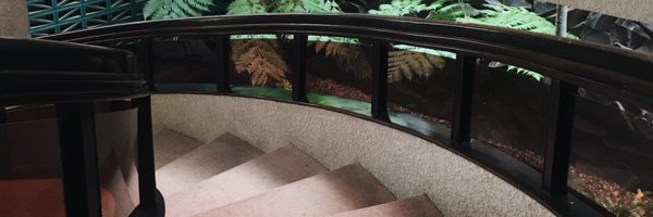 monetinthepool Profile Banner