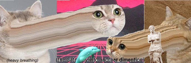 fnrd23's profile banner image