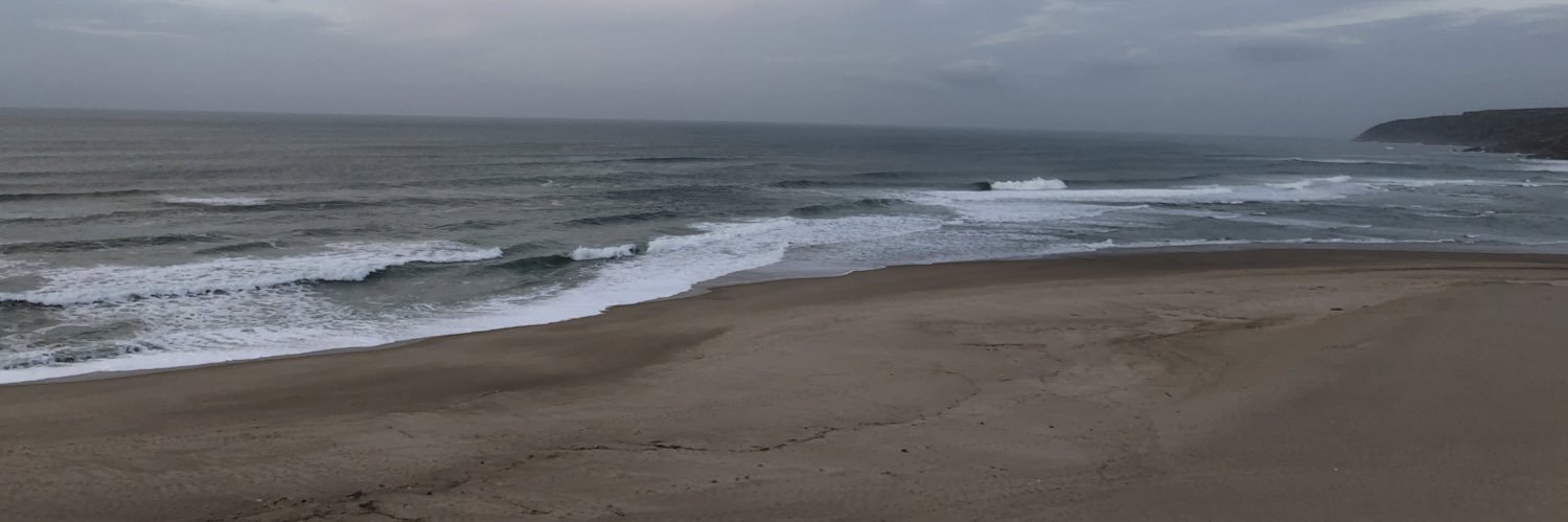 olivesea's profile banner image