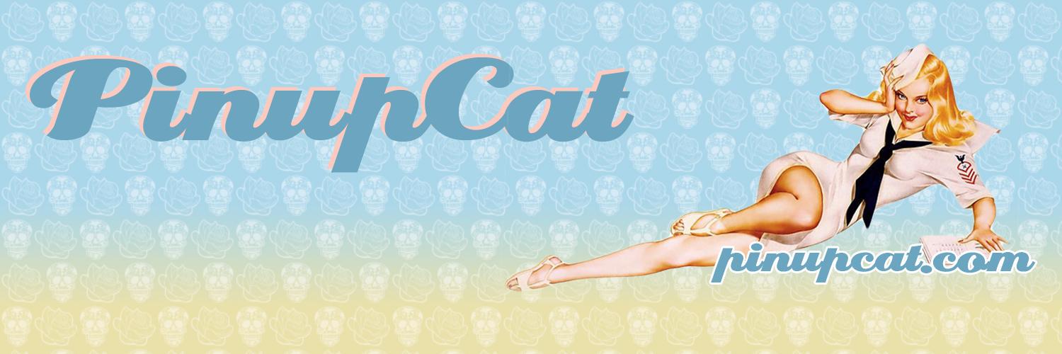 pinupcatcom's profile banner image