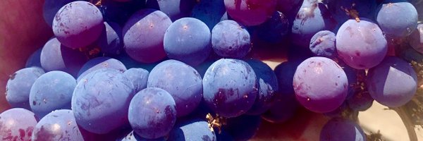 13throgue Profile Banner
