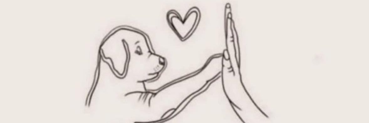TansuBulsu's profile banner image