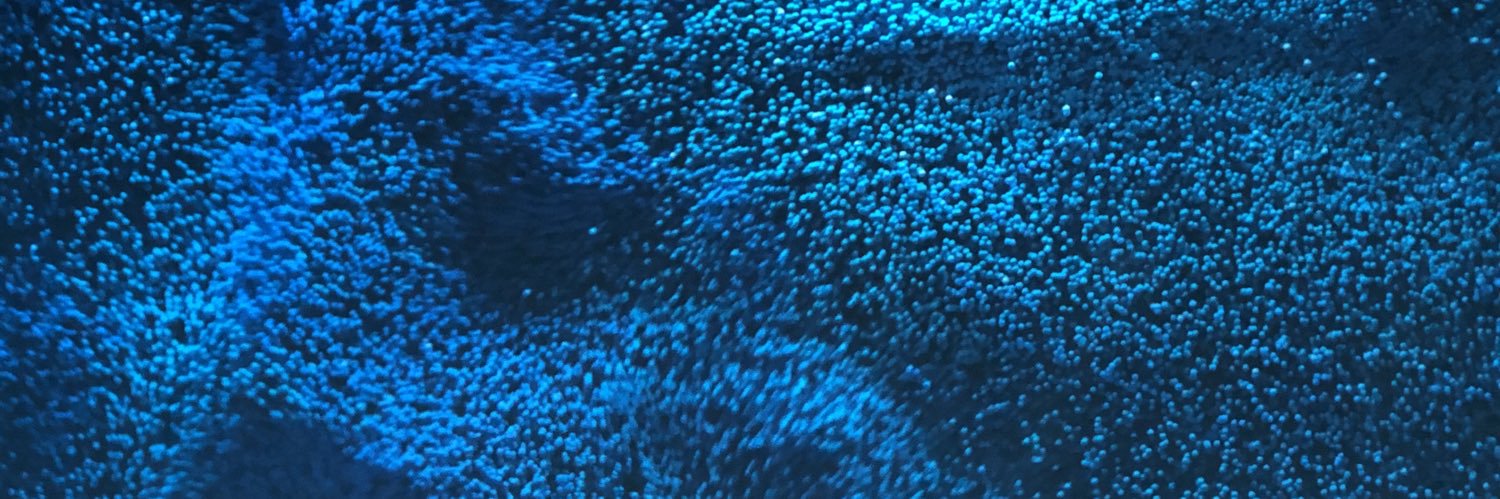 marktyxe's profile banner image