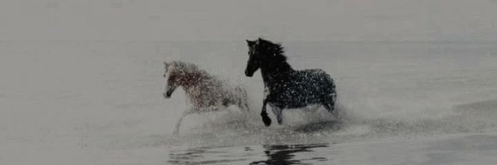 RahmaAliyanies's profile banner image