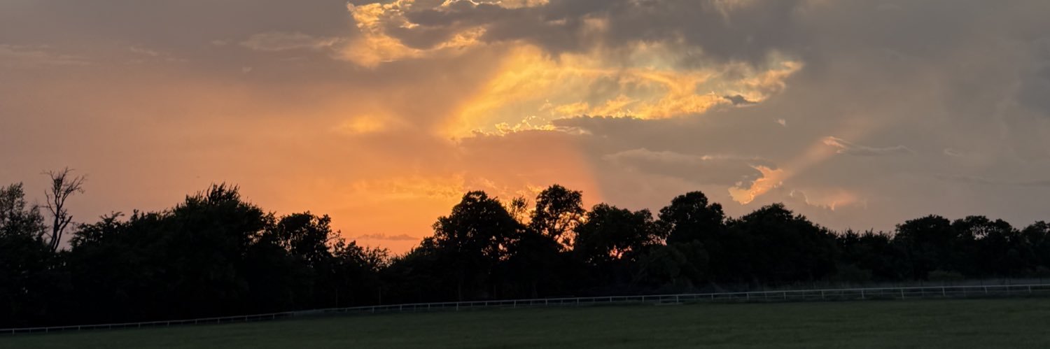 Bo_Wolf24's profile banner image