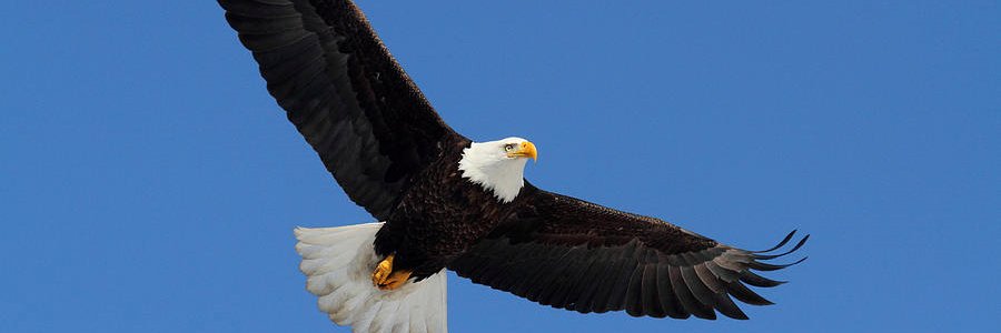 WHKiser22's profile banner image