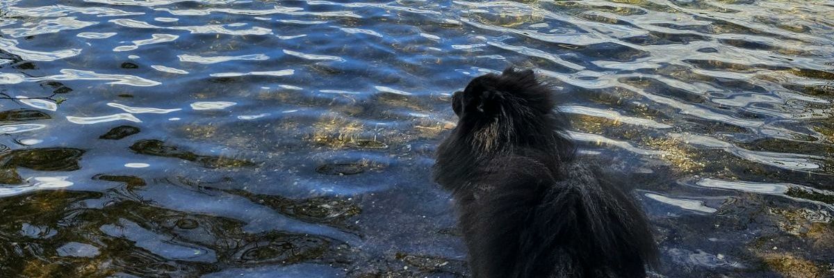 HubDelor's profile banner image