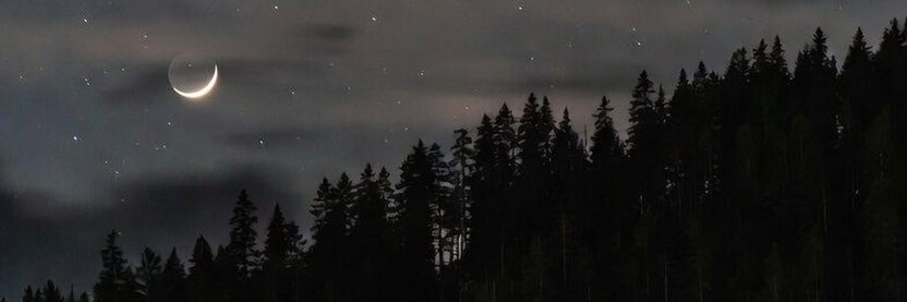 月と森＊Live Photo banner