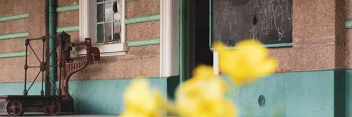 vane_minor's profile banner image