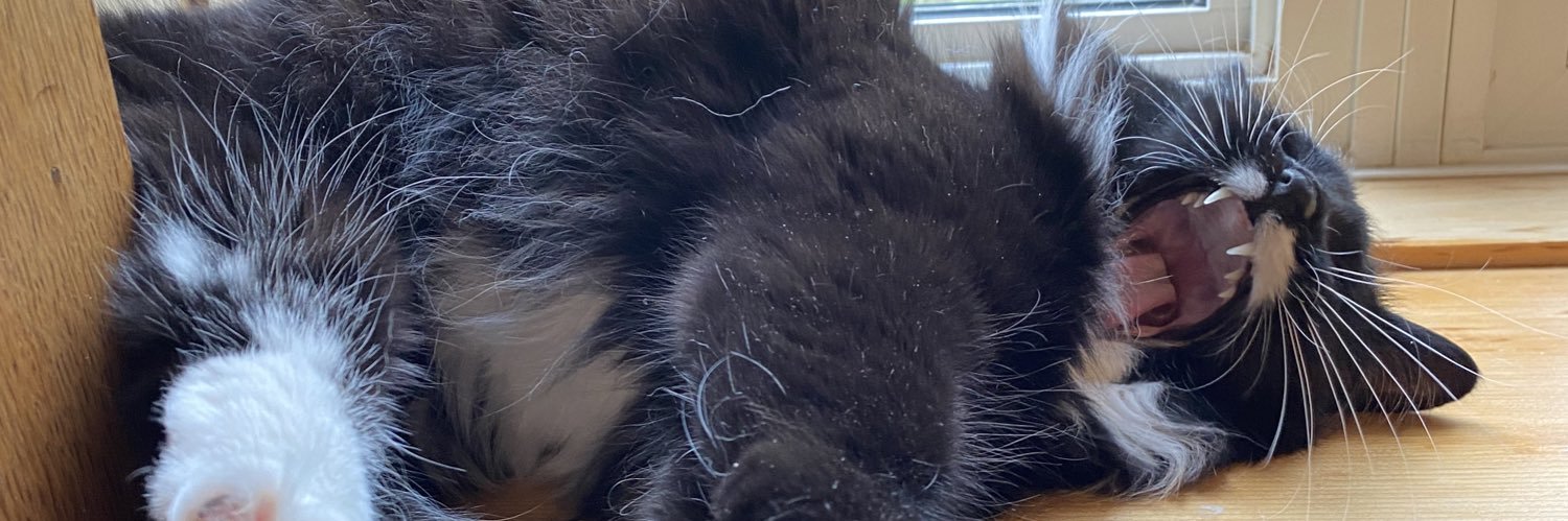biodomer's profile banner image