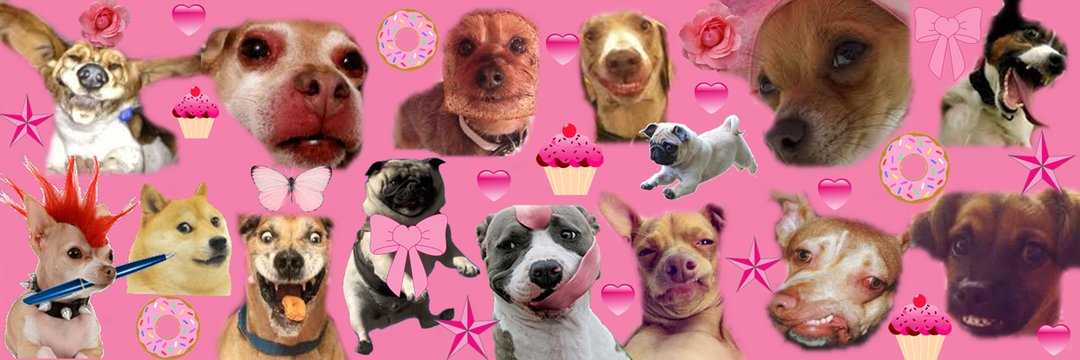 put_the_name's profile banner image