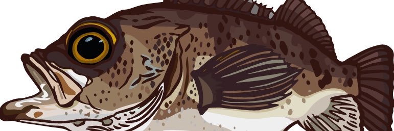 cheekamap's profile banner image