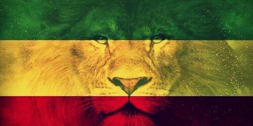 MelipopAlonso's profile banner image