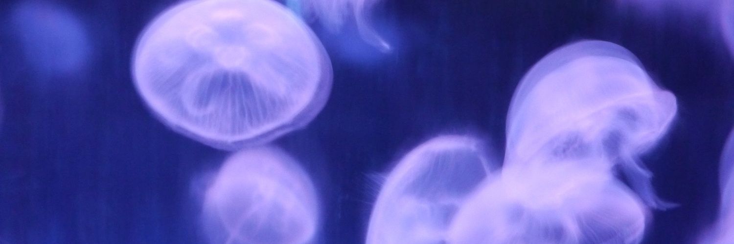 g19921012's profile banner image