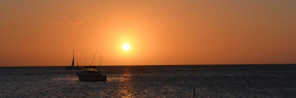 Meegan Molander banner