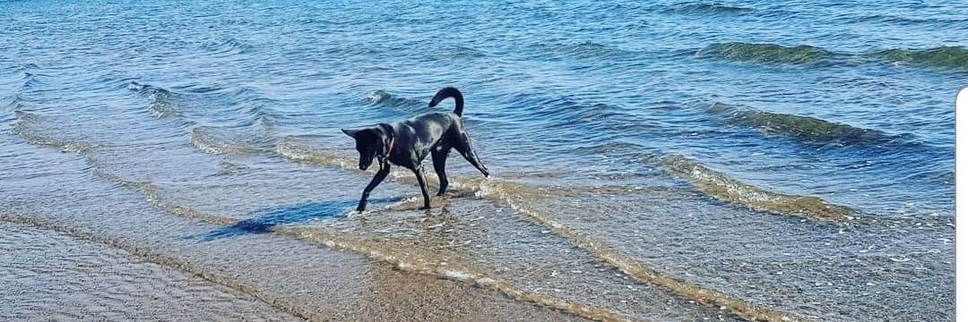 Ｔｅｅｔａ 💚🤍❤ banner