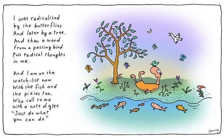 Vitamin Biko 🇵🇸 🇨🇺🇿🇦 banner