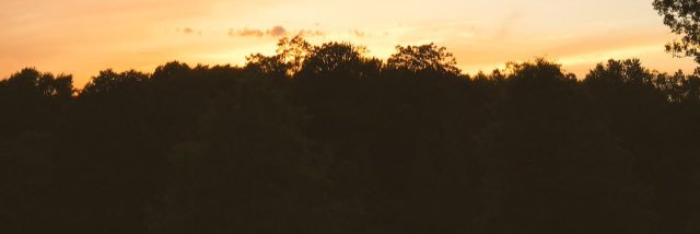 maqkaroline's profile banner image