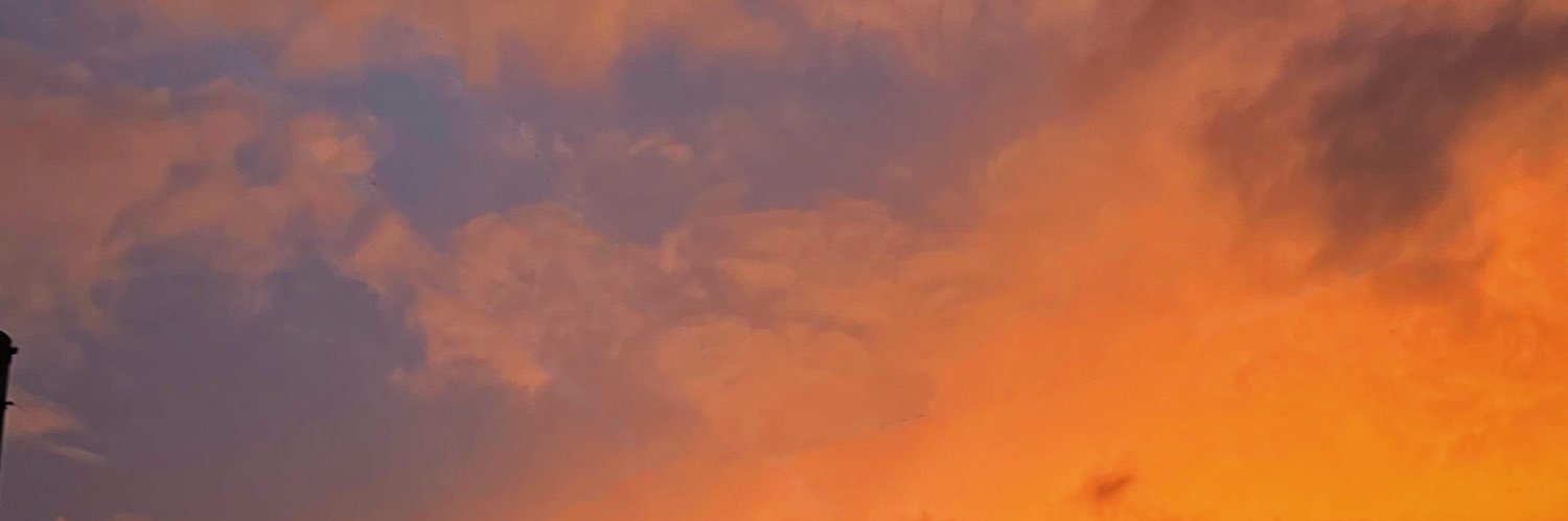 fernandacubul's profile banner image