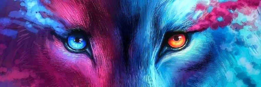 hoganr9518's profile banner image