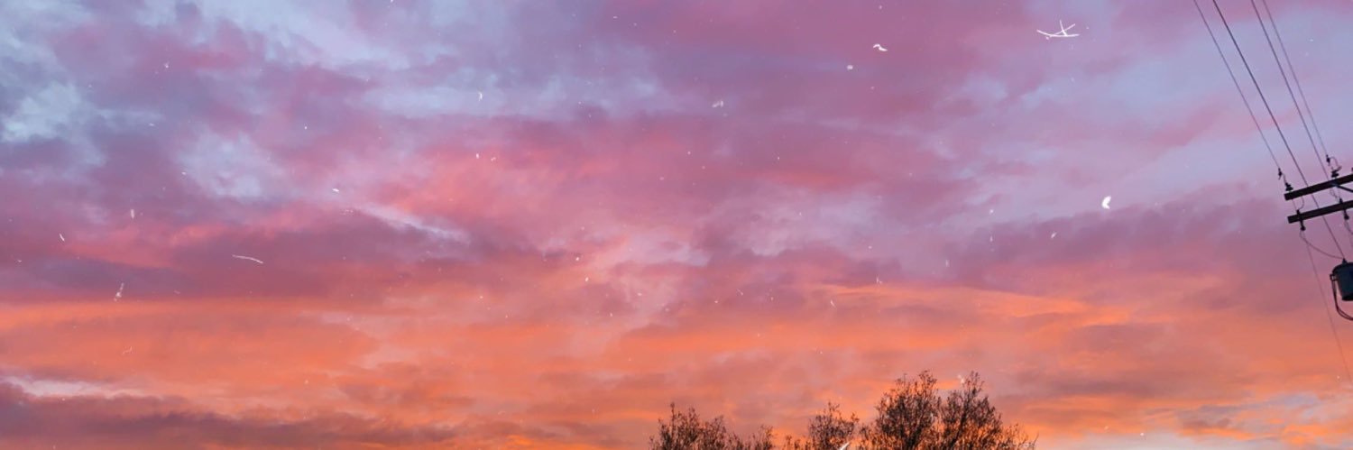 dumbbitchalgae's profile banner image