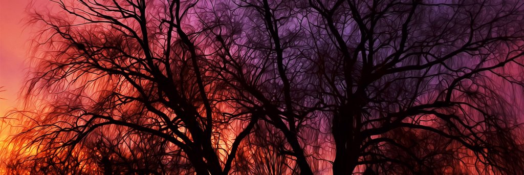 Ɓ̟̃Ɉ̖͠œ̧̫̐︠Ʀ̊Ɲ̼̉❄️ֆ̥͡ե̆‍̤︠Ѧ̨︠Я̴̫︢Ҡ̧ἷϻ̼̌︢д̒︡Ɽ̜̾︠ᶆ̽̆ banner