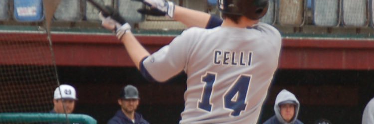 ccelli14's profile banner image
